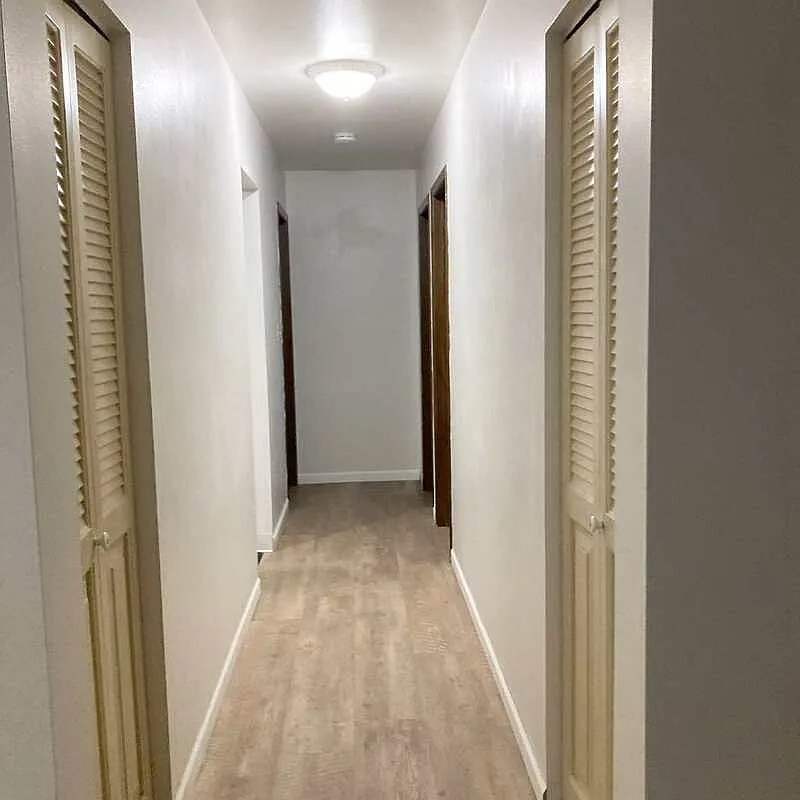 2 bed, 1.0 bath, $899 — Photo 3