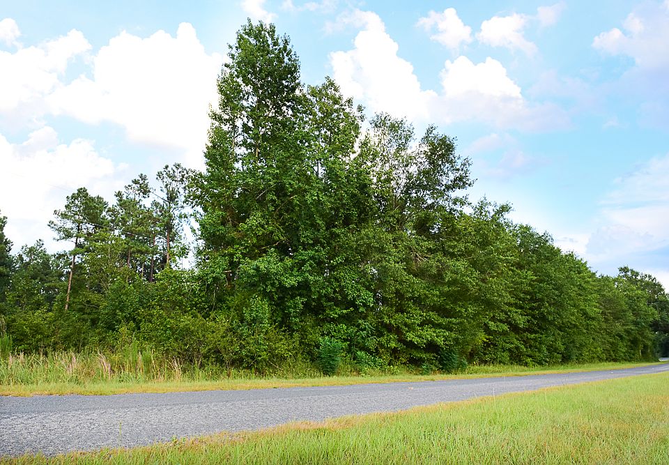 2nd image of Steadman Rd.