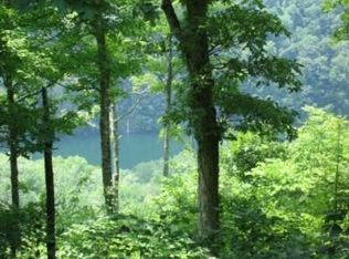 E Sunset Blvd, Allons, TN 38541