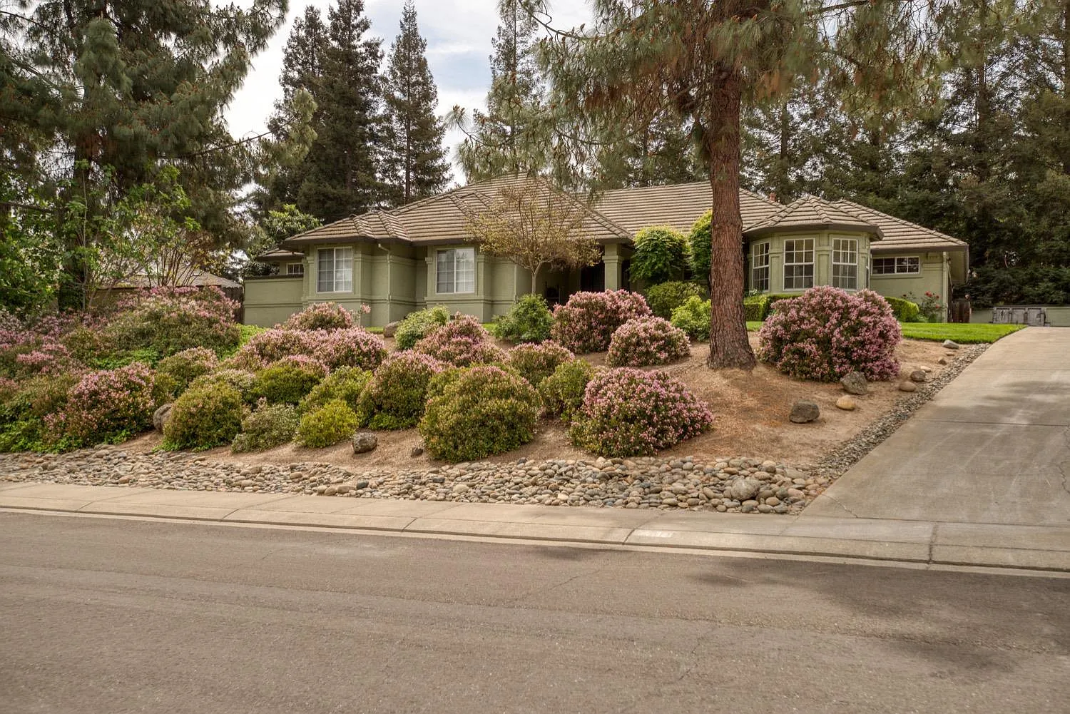 10108 Del Almendra Dr photo 1