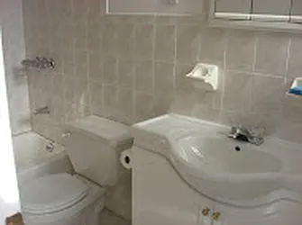 Rented by Area New York
