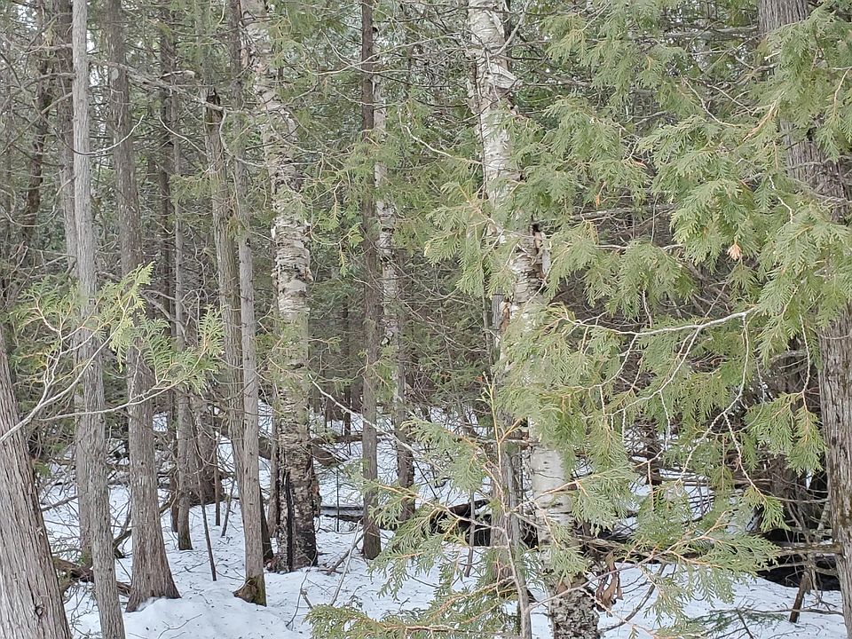 1st image of E South Caribou Lake Rd