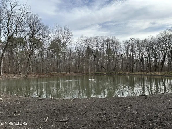 47 W Bluff Rd, Pikeville, TN 37367