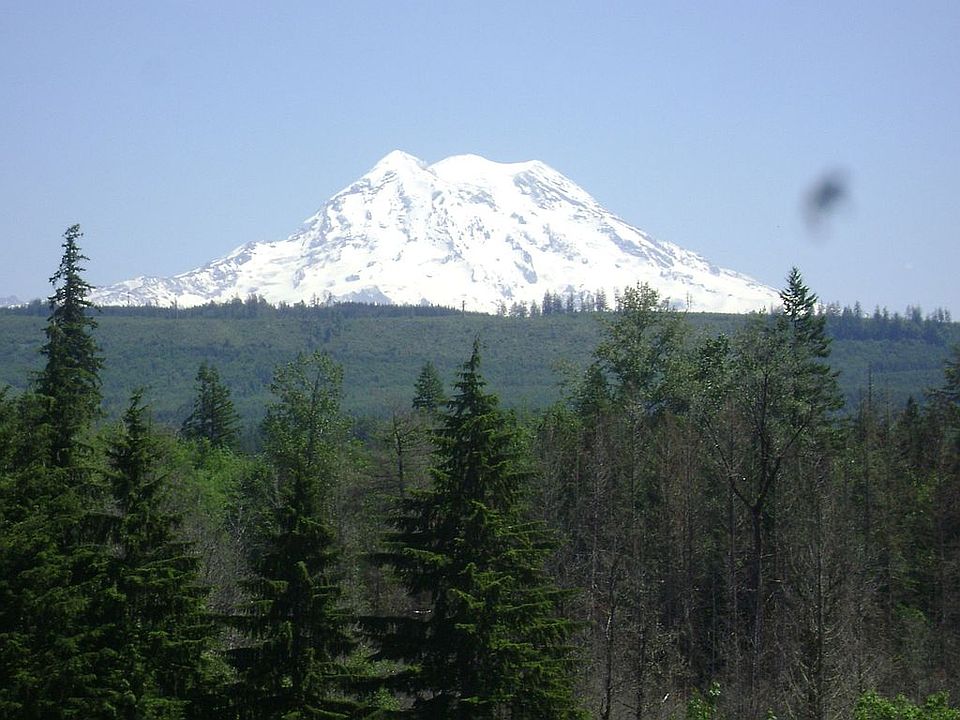 View from My Deck