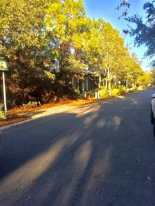 340 Spartina Cir, Santa Rosa Beach, FL, 32459