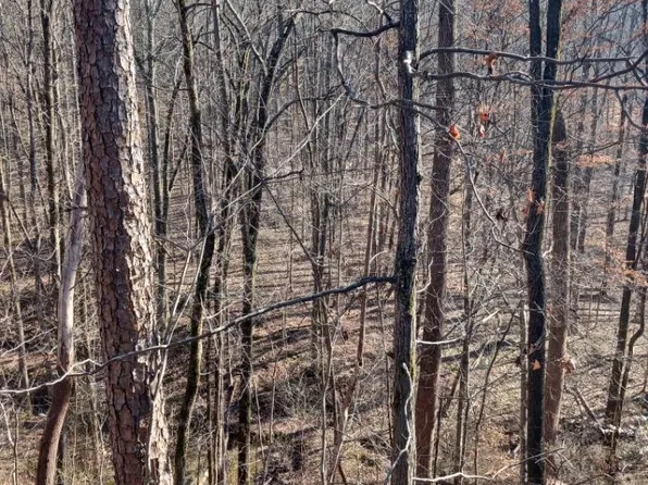 311 Roberts Mill Rd, Hixson, TN 37343