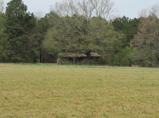 156 Harrell Rd, Pelahatchie, MS 39145