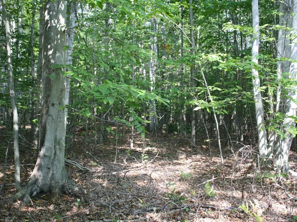 0 N Barlow Rd, Lincoln, MI 48742