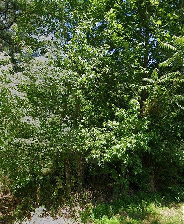 2nd image of 10765 Camp Pond Rd