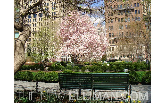 Sold by Douglas Elliman | media 19