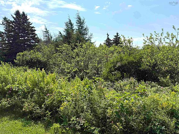 3rd image of 33 Elderberry Dr