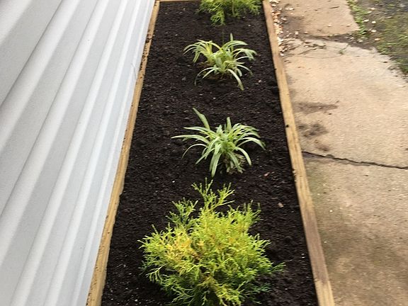RAISED PLANTING BED