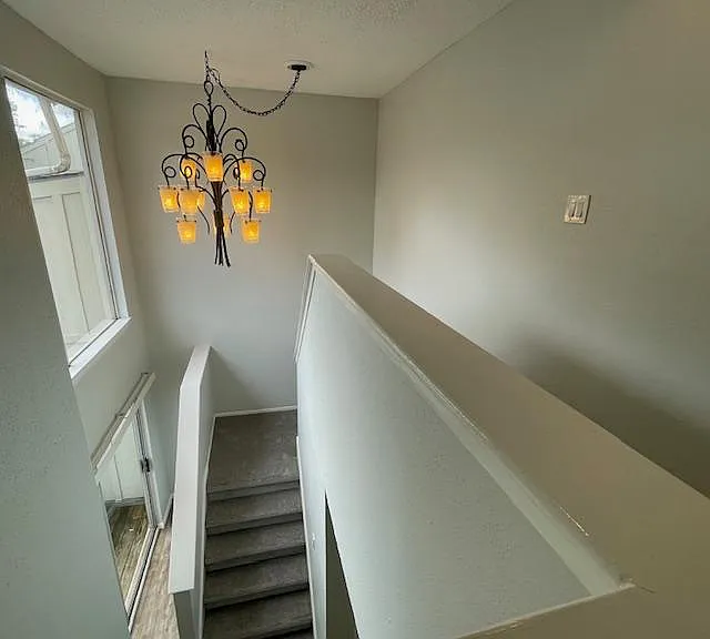 1828 Veranda Dr — Photo 62