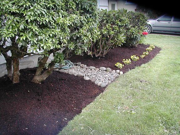 more front yard