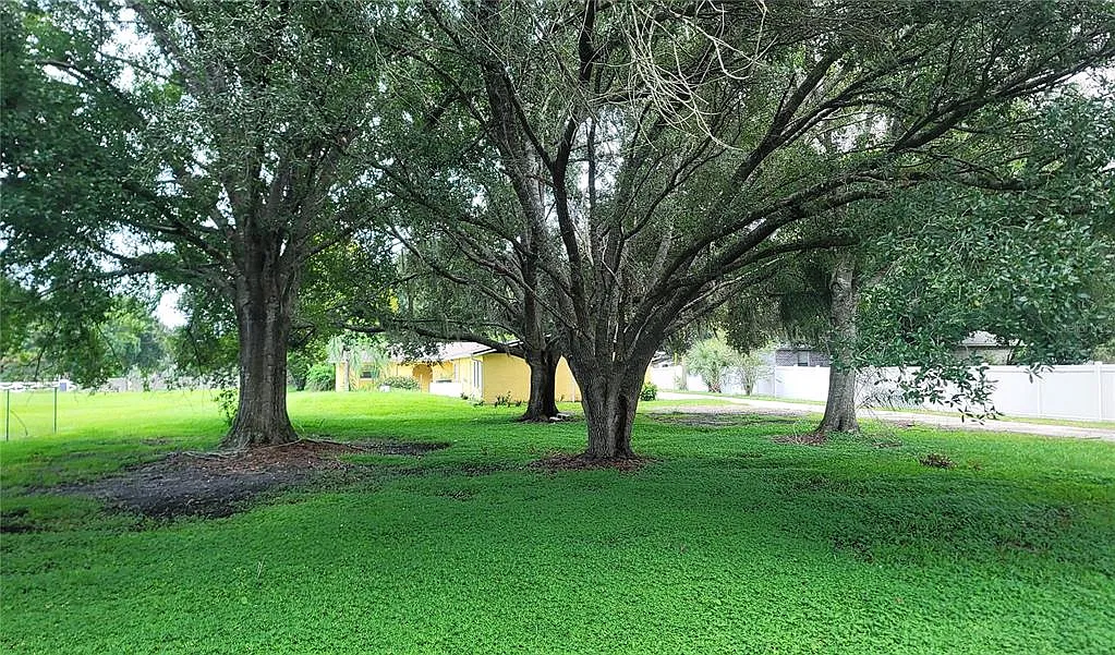 5 bed, 3.0 bath, 3817 sqft, $3,750 — Photo 2