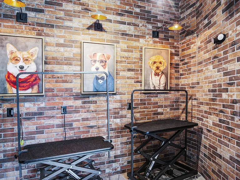 Dog Spa