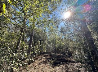 NE Northeast 85th Ave, Bronson, FL 32621