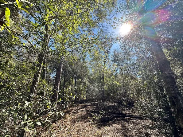 NE 85th Ave, Bronson, FL 32621