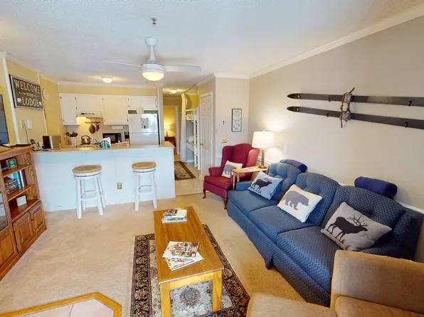 215A Snowcre St, Snowshoe, WV 26209