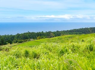Ahoa Rd LOT 42, Laupahoehoe, HI 96764