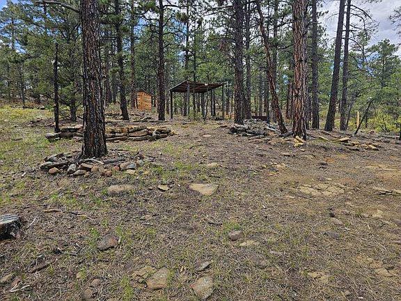 4th image of 17990 King Rd Lot 1166