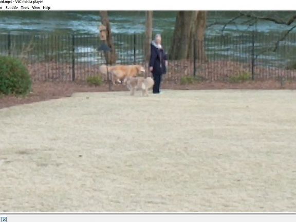 3rd image of 151 Royal Dornoch Dr