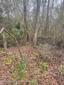 0 Nuzum Rd, Spring Hill, FL, 34613