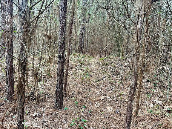 2nd image of Bouie Mill Rd NW