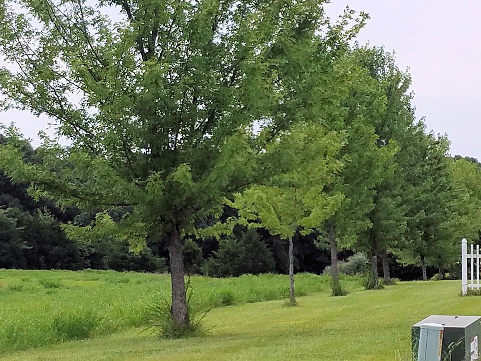 LOT 13 E Breedlove Dr, Sturgeon, MO 65284 MLS 414403 Zillow