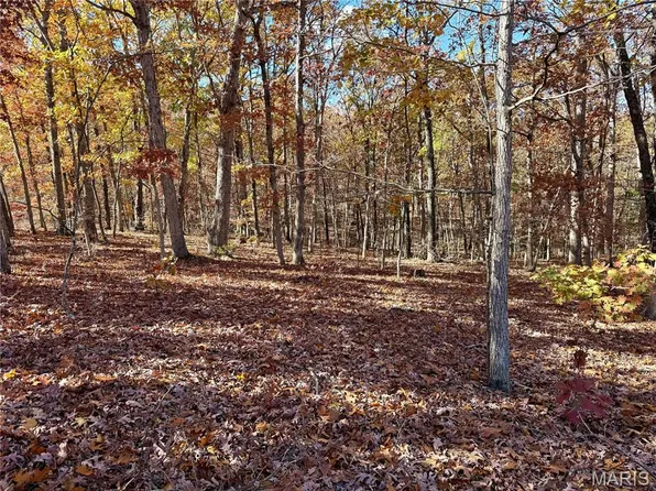 10270 Skyline Dr, Cadet, MO 63630