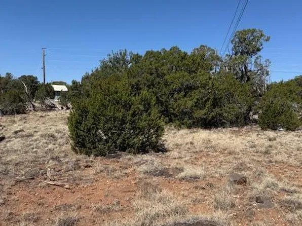 1860 Rainbow Cir, Show Low, AZ 85901