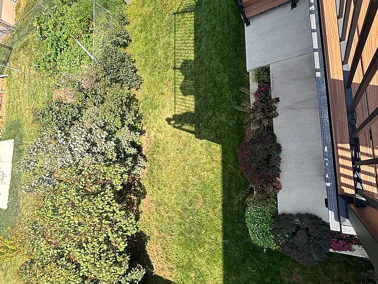 part of the backyard from TREX deck