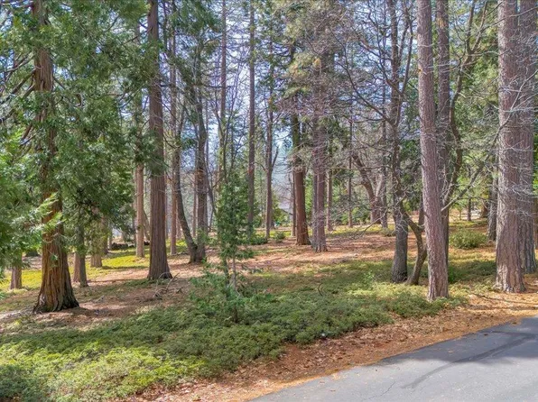 5556 Wylderidge Dr, Murphys, CA 95247