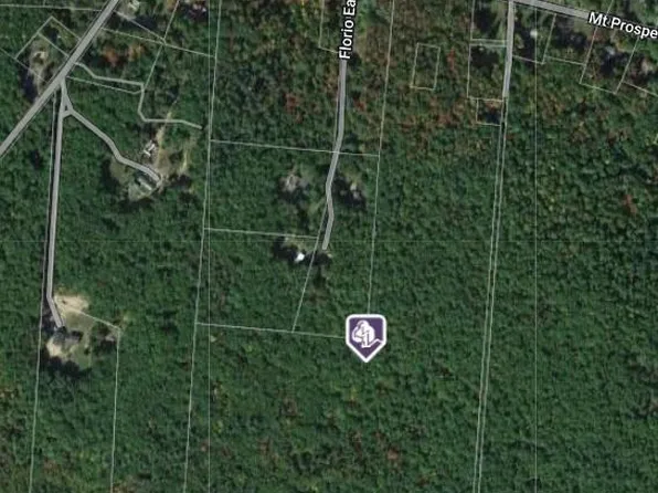 Mt Prosper Road, Wurtsboro, NY 12790
