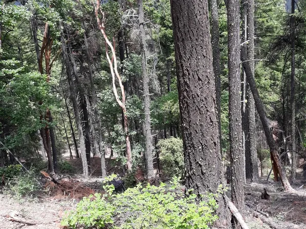 0 Cecilville Road, Forks Of Salmon, CA 96031