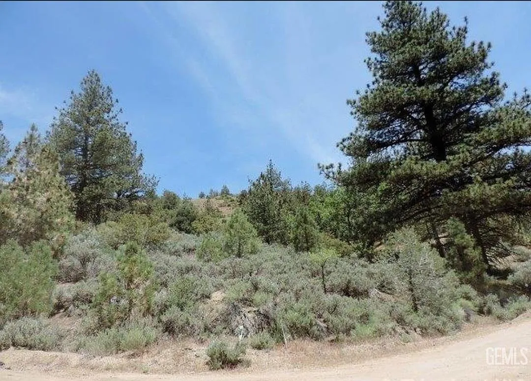 16530 Mountain Climber Way photo 1