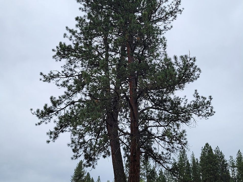 1st image of 0 Coombs Loop