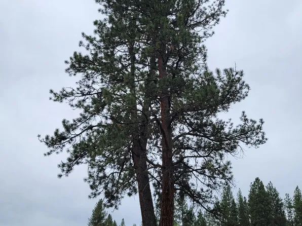 0 Coombs Loop, La Grande, OR 97850