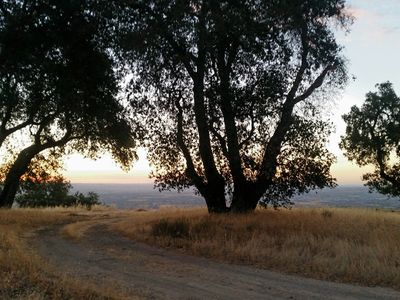 4520 Stags Leap Way, Adelaide, CA, 93446