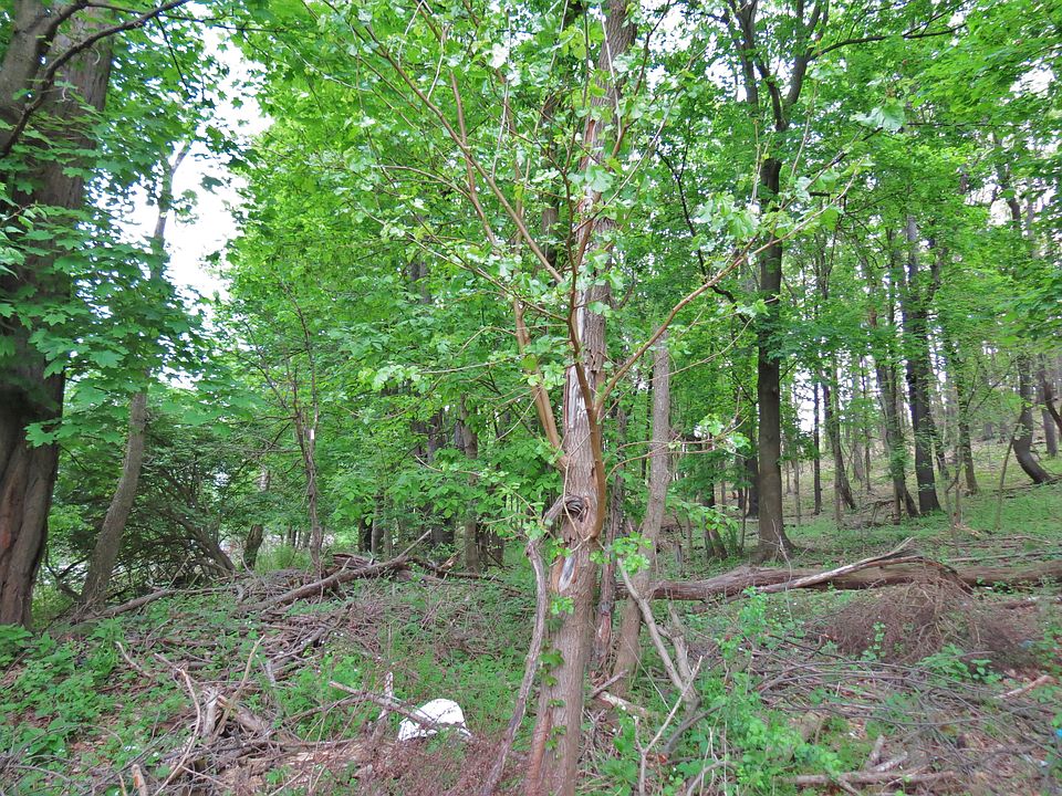 2nd image of Ashtola Way