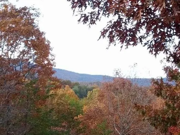146 Ducks Nest Rd, Turtletown, TN 37391