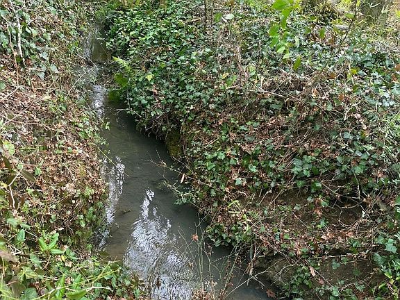 5th image of 0 Red Berry Ln Tract E