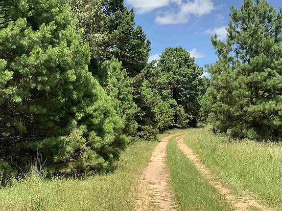 2nd image of 181 County Road 2213