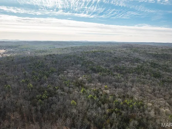 0 Bust Subdivision Rd, Potosi, MO 63664
