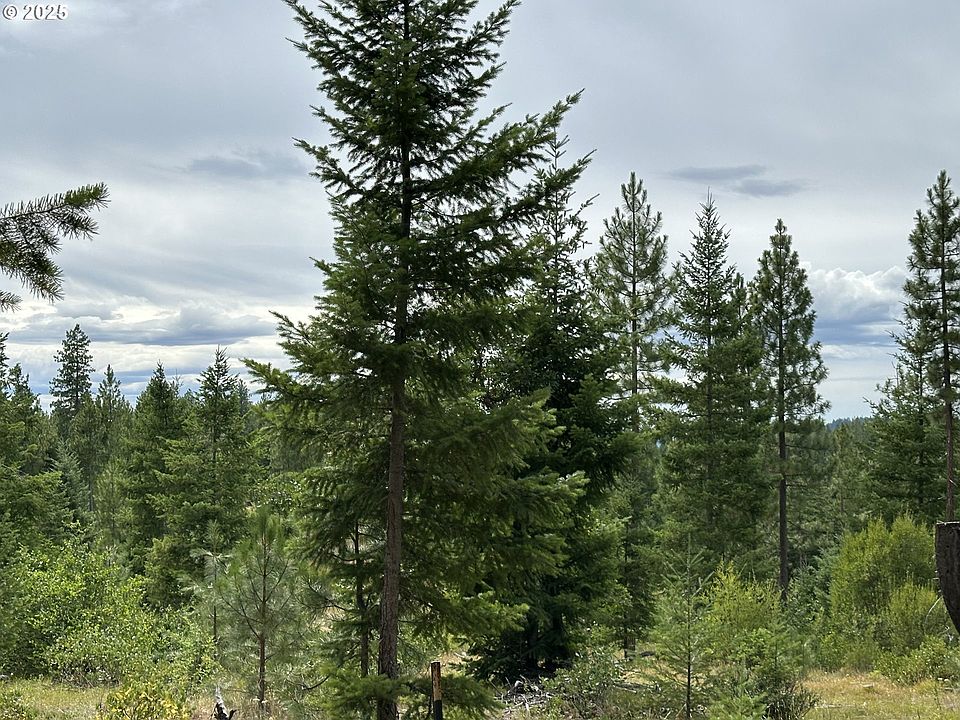 1st image of Forest Gln