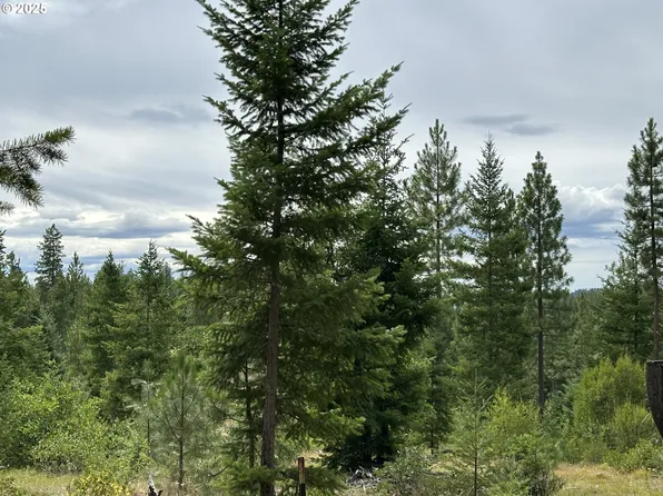 Forest Gln, Goldendale, WA 98620