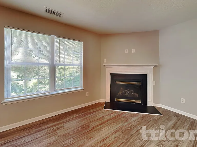 4436 Christenbury Hills Ln — Photo 3
