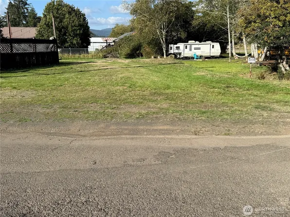 0 Fairgrounds Road, Skamokawa, WA 98647