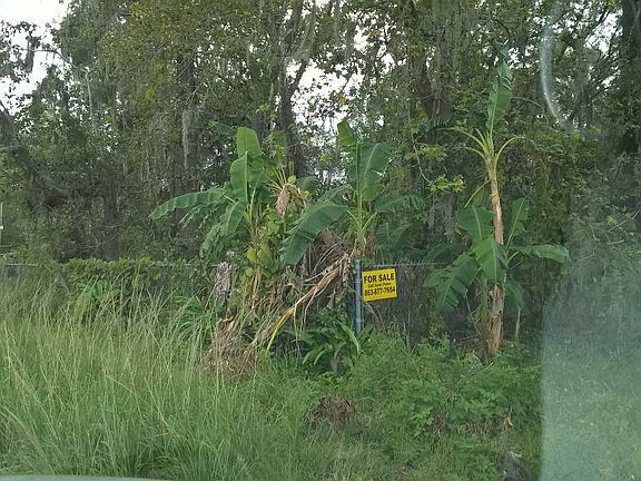 5th image of 3963 Shady Hammock Dr