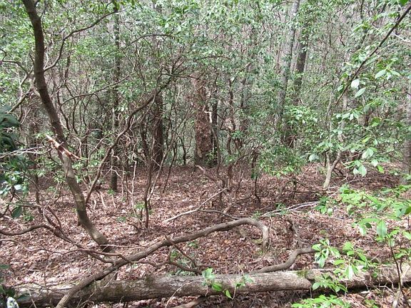 3rd image of 315 Falcon Crest Way